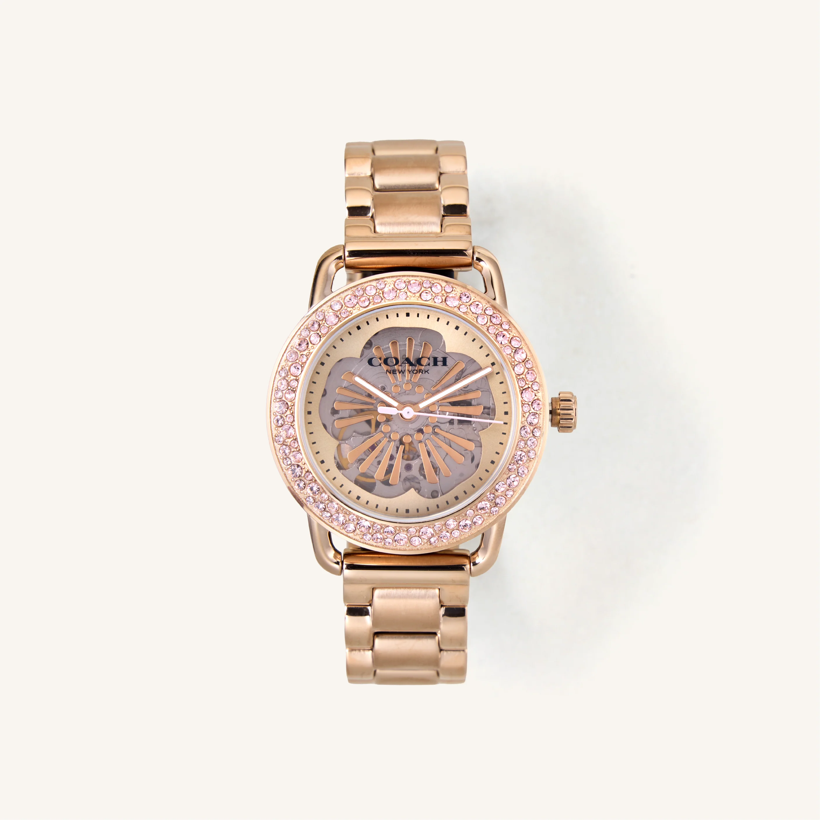 Coach Watch Cruiser 14504367